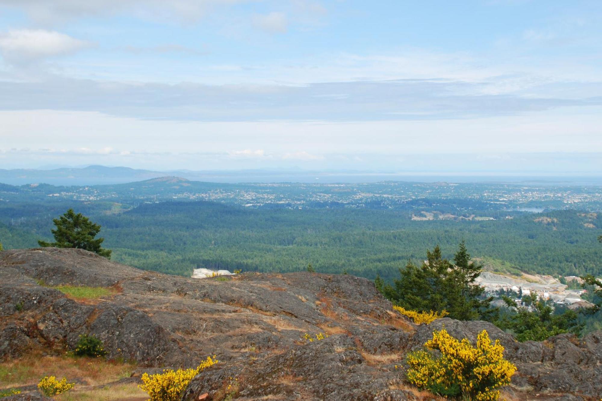 Shawnigan Suite B & B Shawnigan Lake Luaran gambar